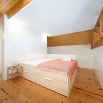 Skylight *